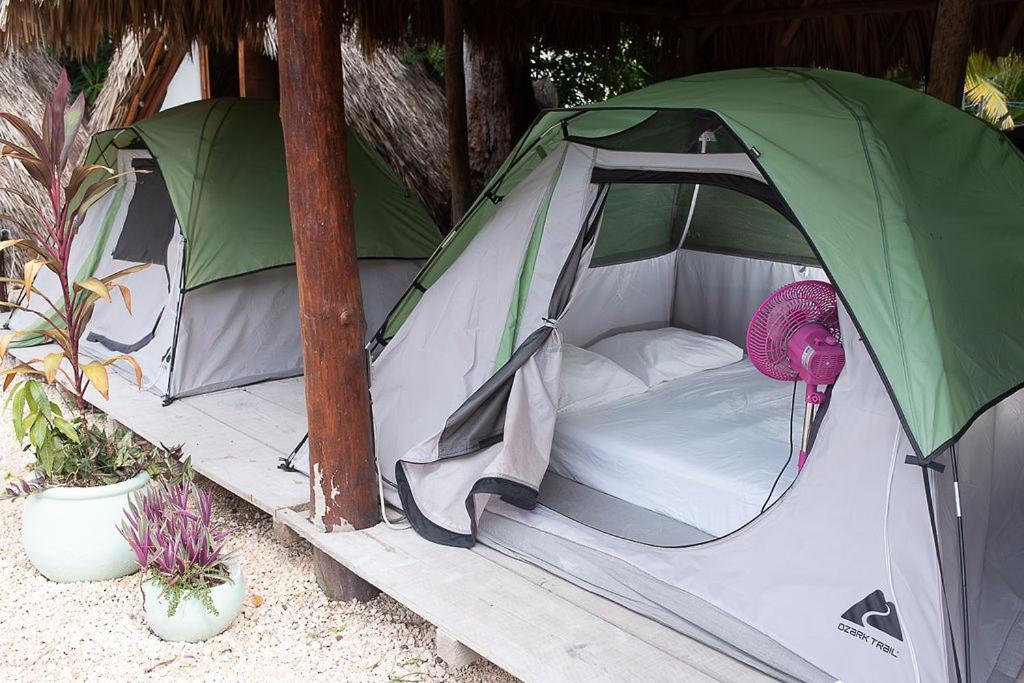 Mapache Hostel & Camping 홀박스아일랜드 외부 사진