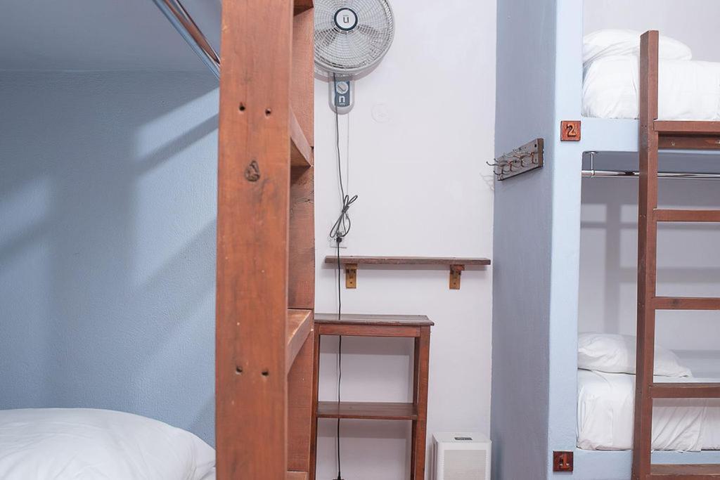 Mapache Hostel & Camping 홀박스아일랜드 외부 사진