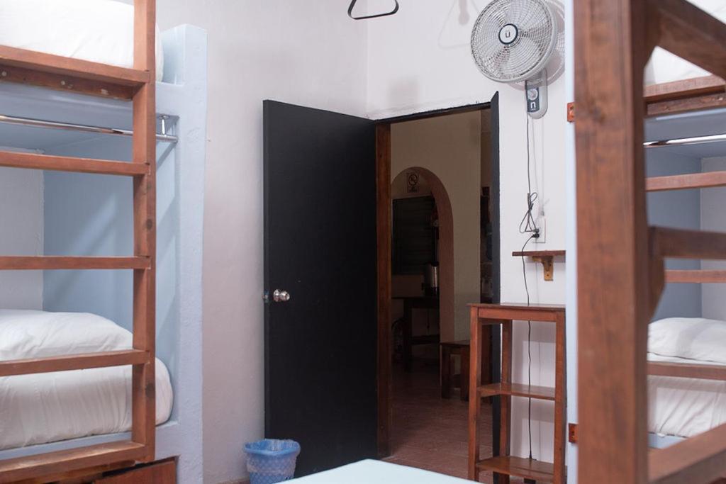 Mapache Hostel & Camping 홀박스아일랜드 외부 사진