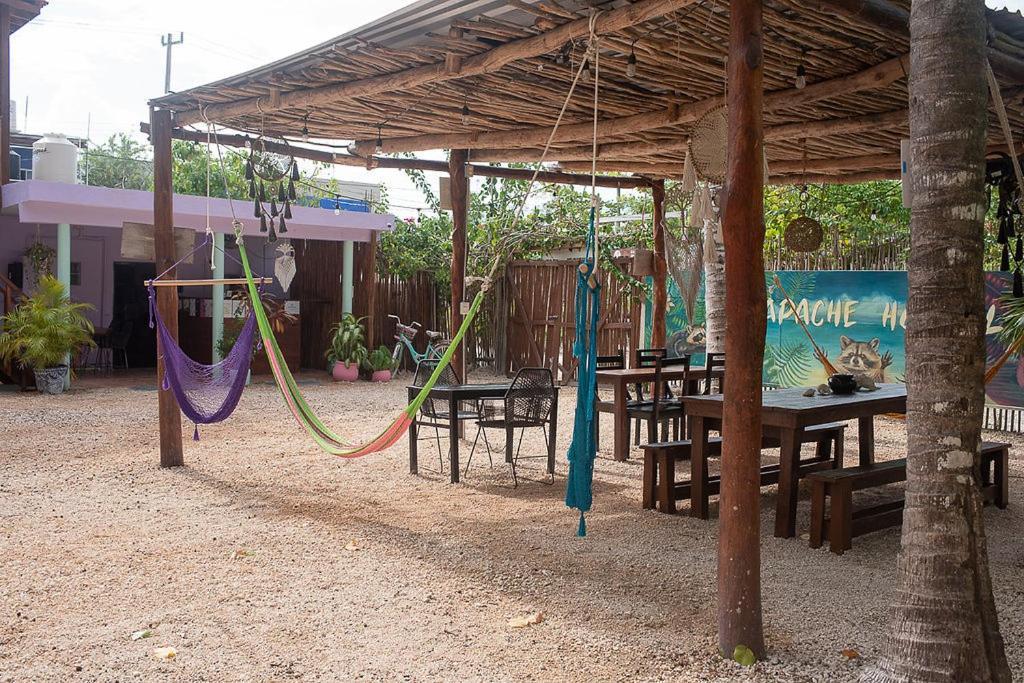 Mapache Hostel & Camping 홀박스아일랜드 외부 사진