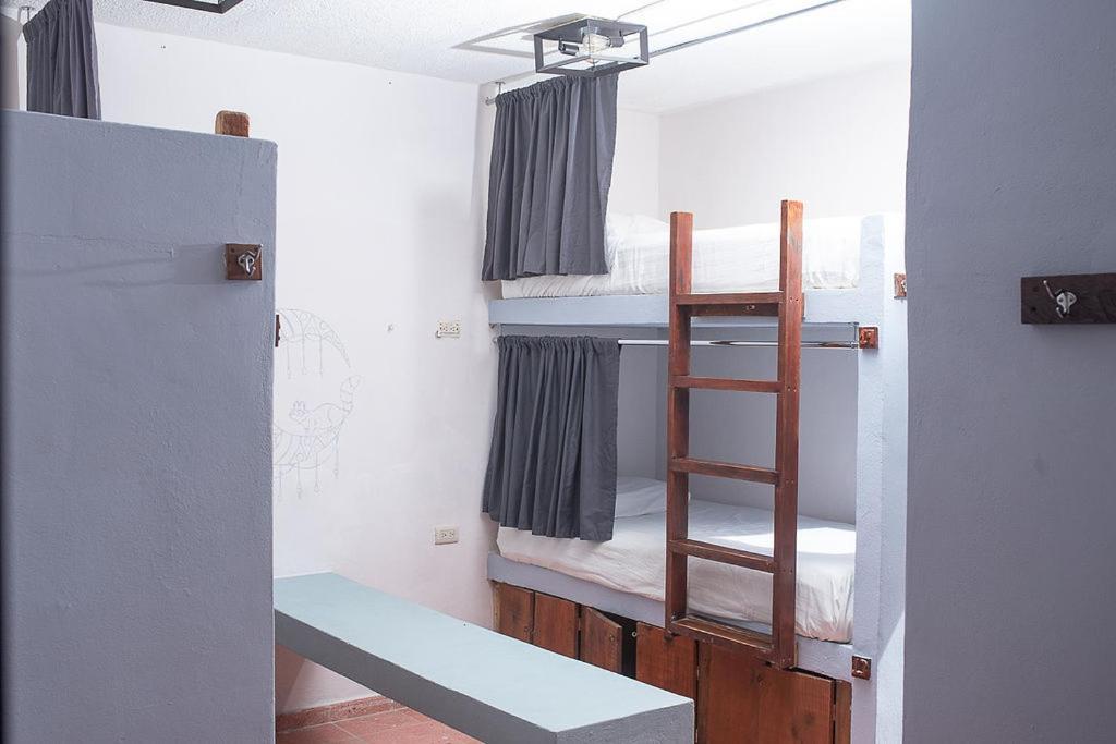 Mapache Hostel & Camping 홀박스아일랜드 외부 사진