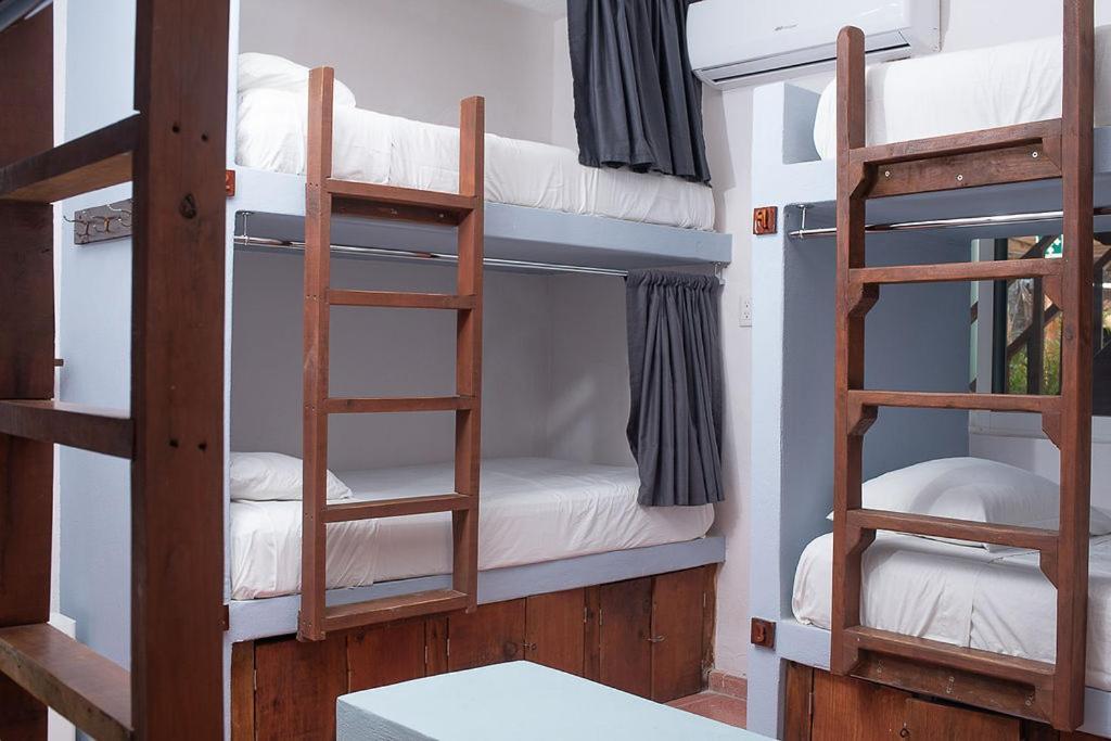 Mapache Hostel & Camping 홀박스아일랜드 외부 사진