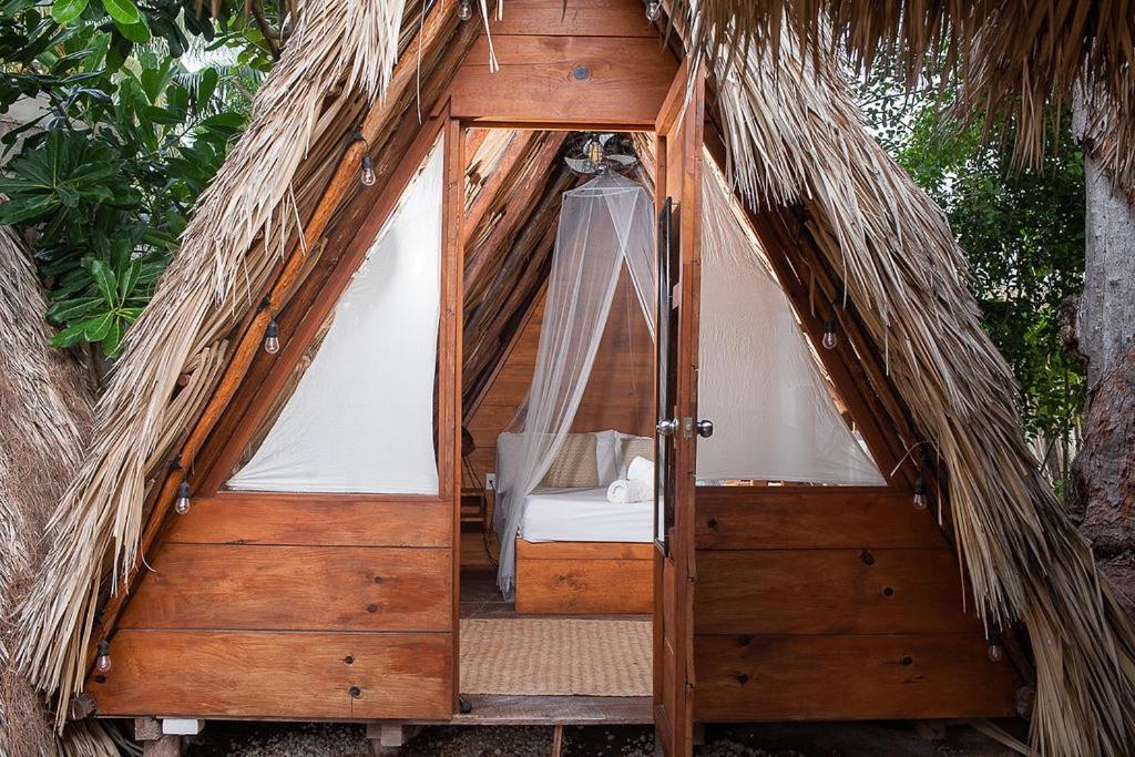 Mapache Hostel & Camping 홀박스아일랜드 외부 사진