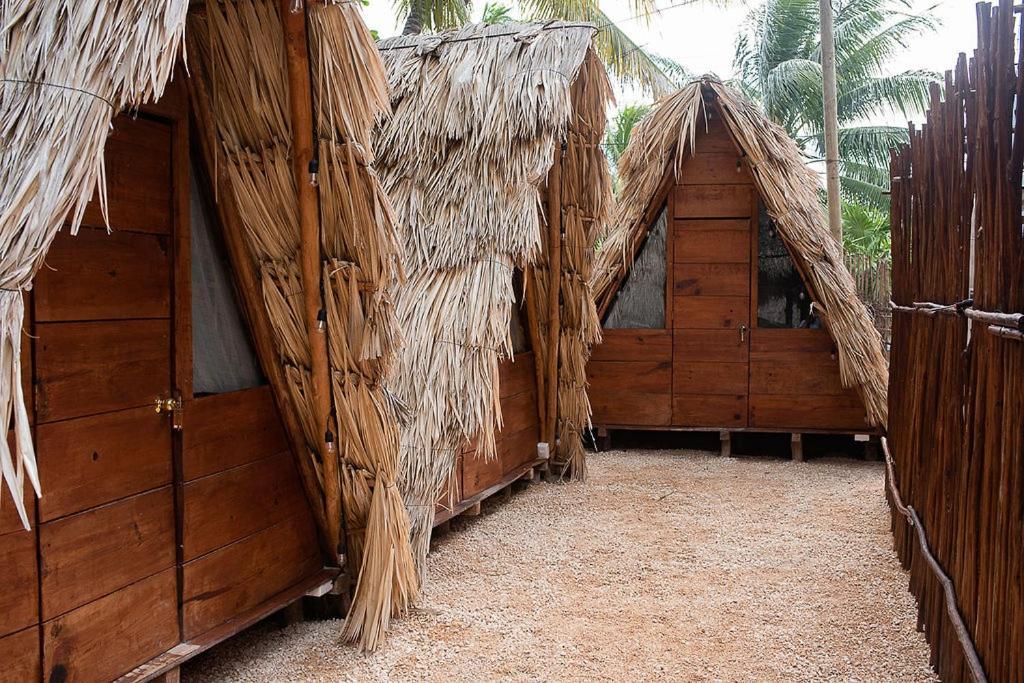 Mapache Hostel & Camping 홀박스아일랜드 외부 사진