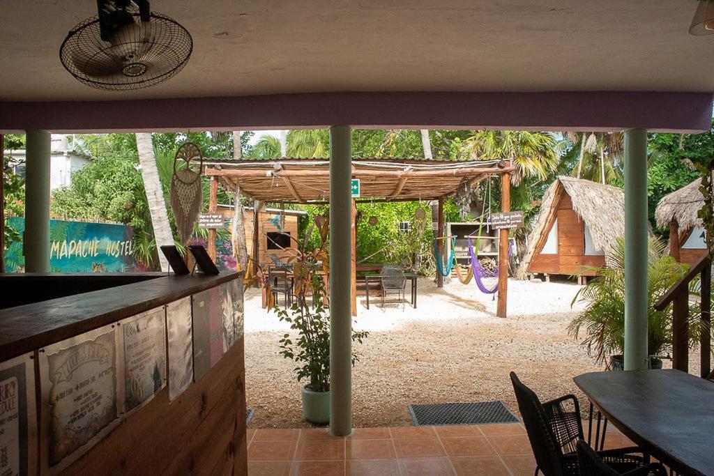 Mapache Hostel & Camping 홀박스아일랜드 외부 사진
